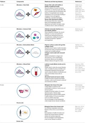 Corrigendum: Bioengineered Platforms for Chronic Wound Infection Studies: How Can We Make Them More Human-Relevant?